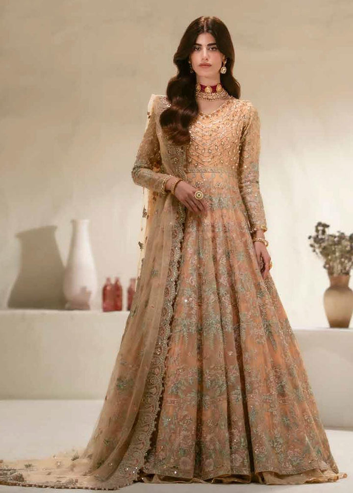 Mehr O Maah By Maryum N Maria Embroidered Organza Suits Unstitched 3 Piece MNM24MM MW23-534 Nane - Luxury Collection