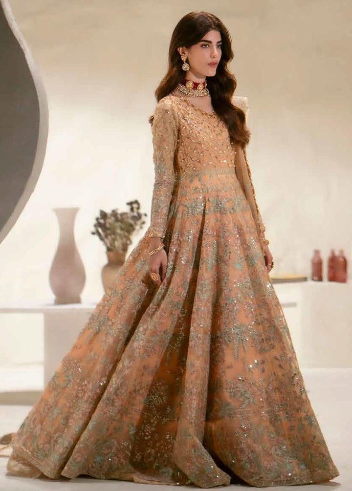 Mehr O Maah By Maryum N Maria Embroidered Organza Suits Unstitched 3 Piece MNM24MM MW23-534 Nane - Luxury Collection