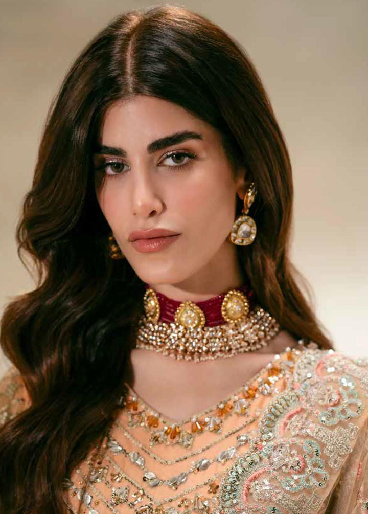 Mehr O Maah By Maryum N Maria Embroidered Organza Suits Unstitched 3 Piece MNM24MM MW23-534 Nane - Luxury Collection