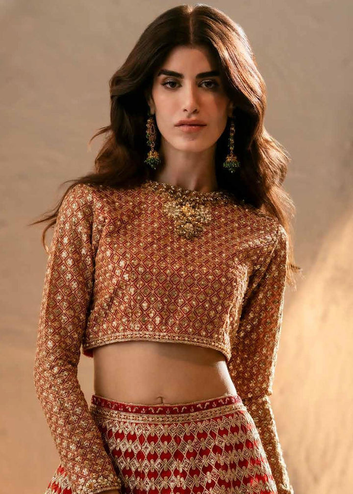 Mehr O Maah By Maryum N Maria Embroidered Organza Suits Unstitched 3 Piece MNM24MM MW23-537 Mandisa - Luxury Collection