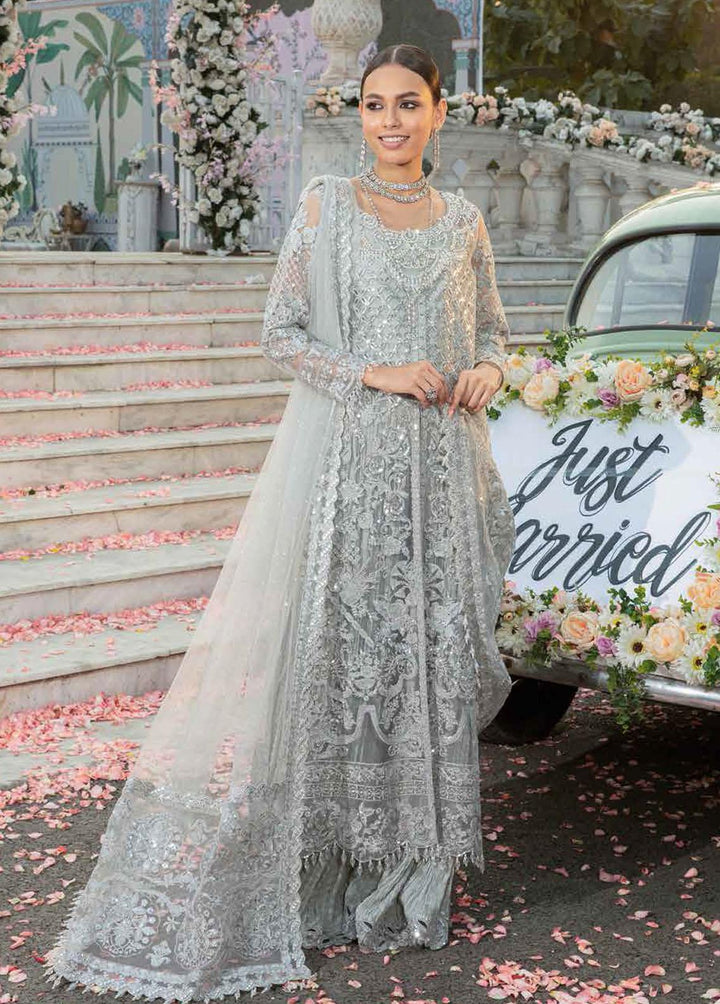 Mehram By Serene Embroidered Net Suits Unstitched 3 Piece SP23M SB-15 Fanna - Premium Collection