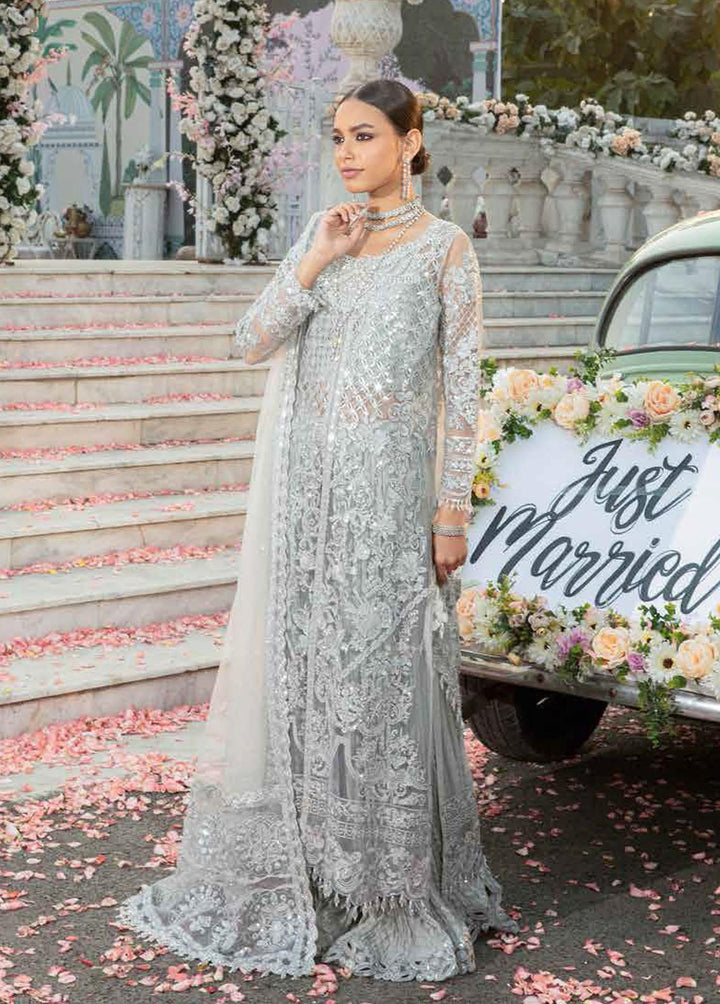 Mehram By Serene Embroidered Net Suits Unstitched 3 Piece SP23M SB-15 Fanna - Premium Collection