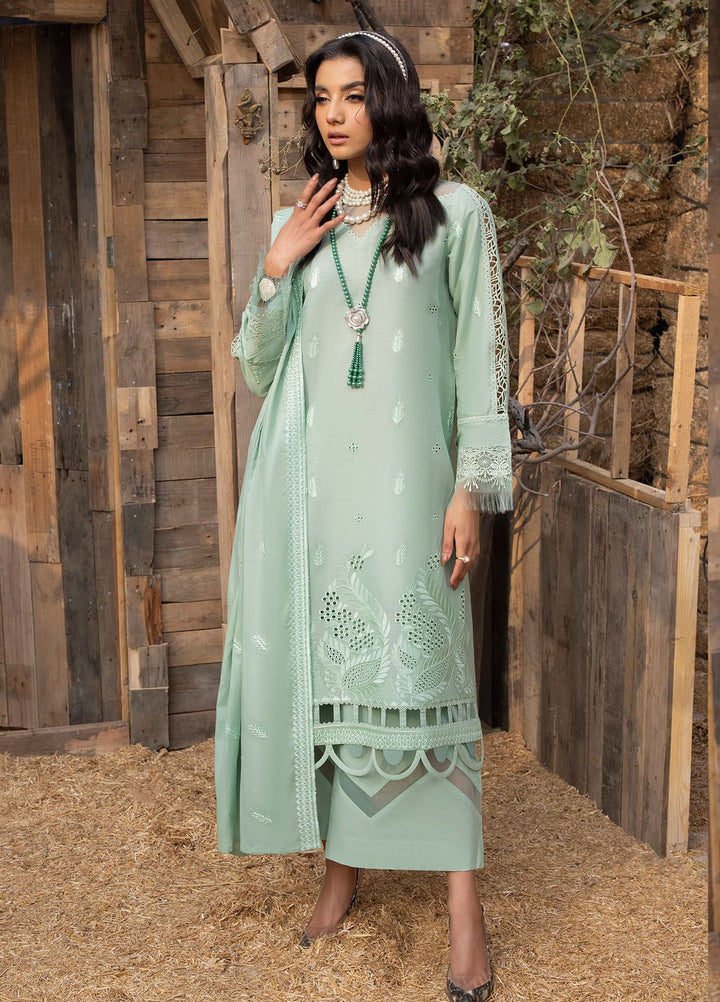Mehru By Mahnur Embroidered Lawn Suits Unstitched 3 Piece MN24MR D-06 - Summer Collection