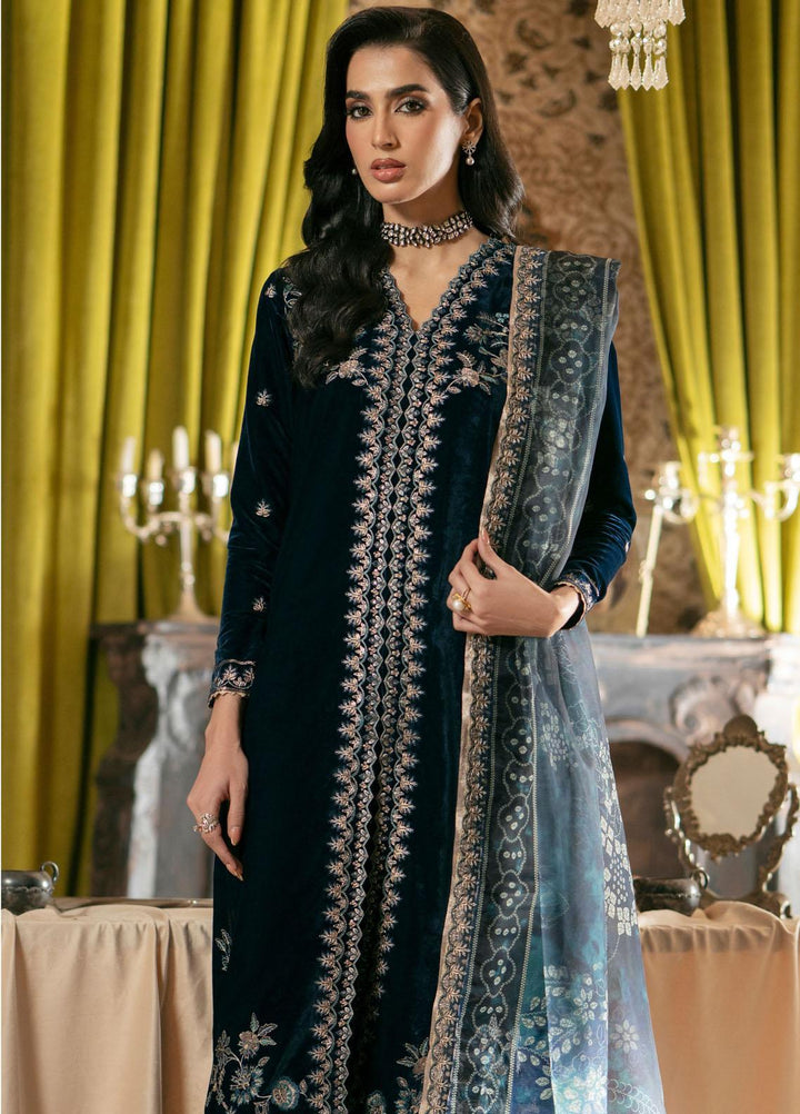 Meraki By Seran Embroidered Velvet Suits Unstitched 3 Piece SRN23MK D-04 Sareena - Formal Collection