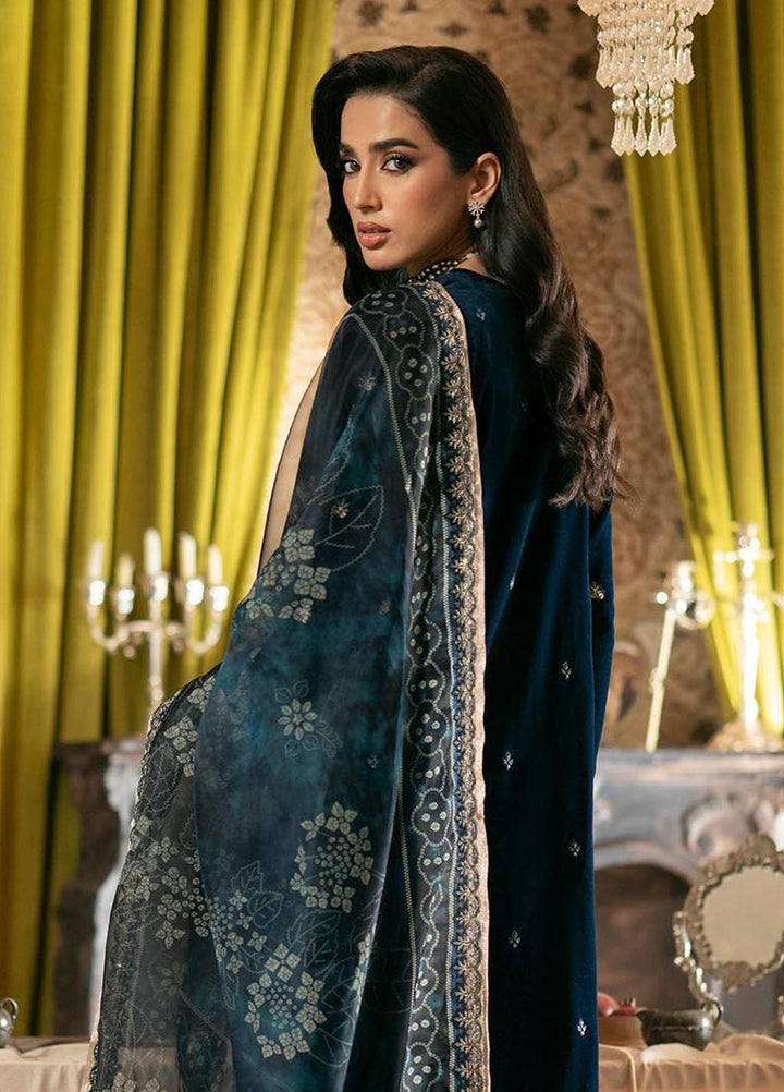 Meraki By Seran Embroidered Velvet Suits Unstitched 3 Piece SRN23MK D-04 Sareena - Formal Collection