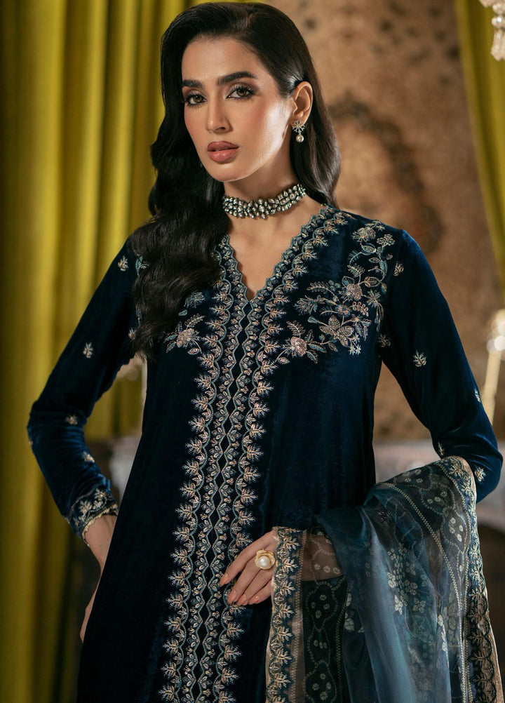 Meraki By Seran Embroidered Velvet Suits Unstitched 3 Piece SRN23MK D-04 Sareena - Formal Collection