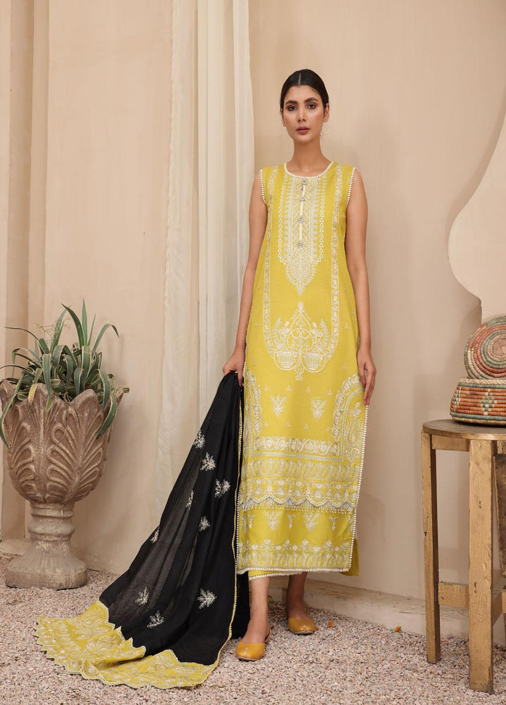 Mirha by Humdum Embroidered Lawn Suits Unstitched 3 Piece HD22M 04 - Summer Collection