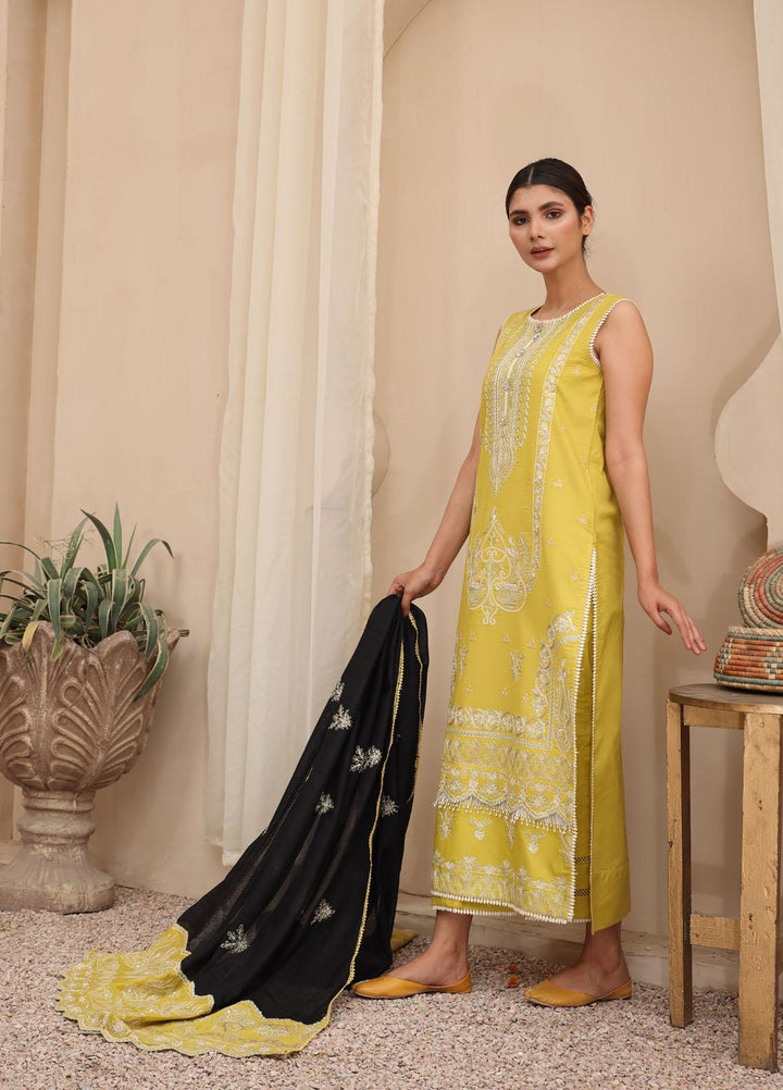 Mirha by Humdum Embroidered Lawn Suits Unstitched 3 Piece HD22M 04 - Summer Collection