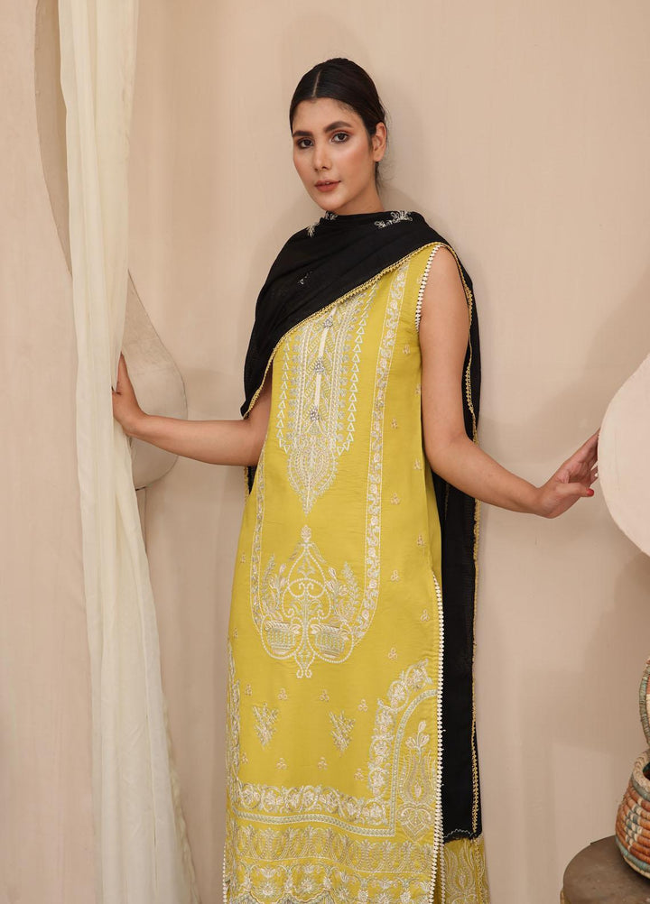 Mirha by Humdum Embroidered Lawn Suits Unstitched 3 Piece HD22M 04 - Summer Collection