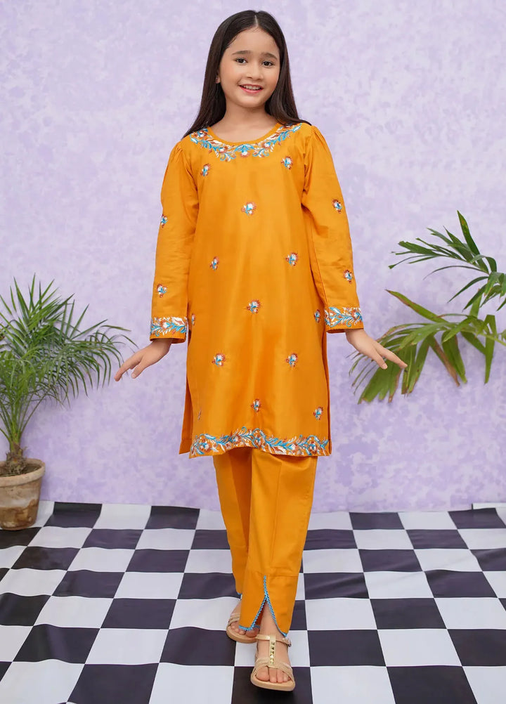 Modest Pret Embroidered Cotton 2 Piece Suit 8485