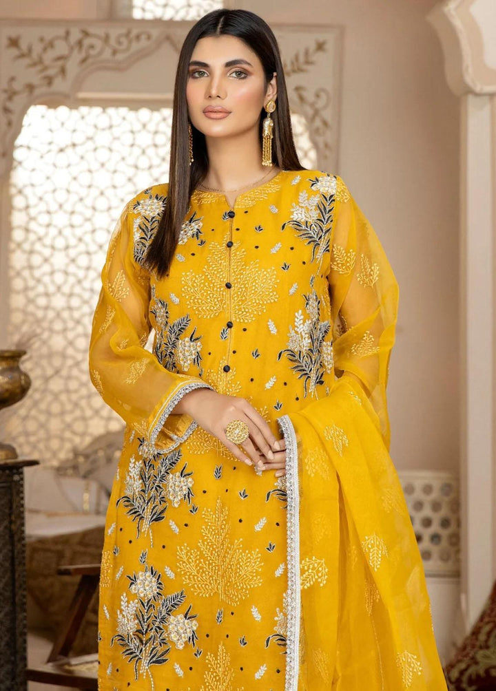 Mohagni Pret Embroidered Organza 2 Piece Suit MOP-01