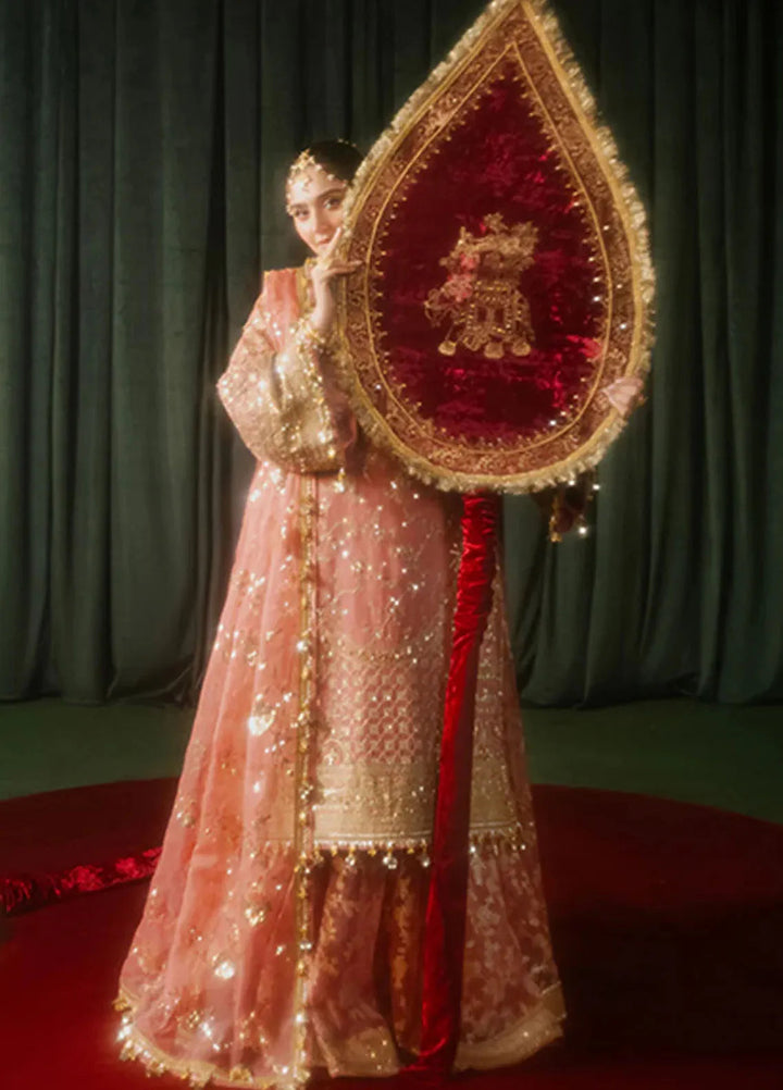 Mohsin Naveed Ranjha Embroidered Organza Suit Unstitched 4 Piece MNR24ZD Guriya Rani - Luxury Collection