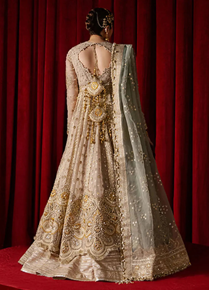 Mohsin Naveed Ranjha Embroidered Organza Suit Unstitched 4 Piece MNR24ZD Shabnami - Luxury Collection