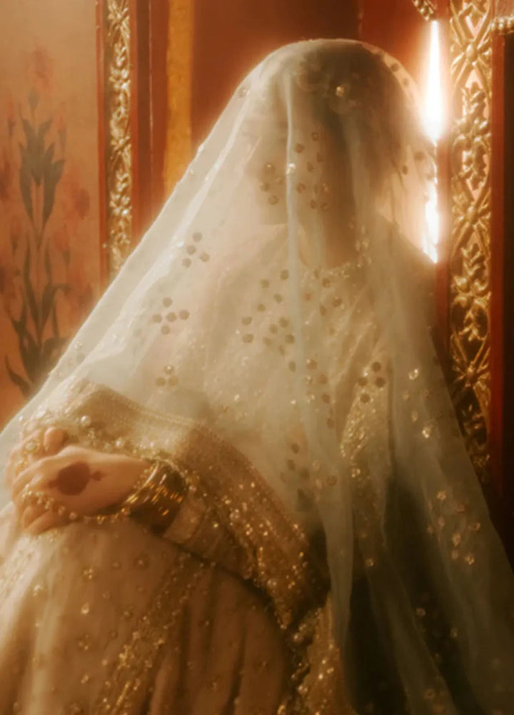 Mohsin Naveed Ranjha Embroidered Organza Suit Unstitched 4 Piece MNR24ZD Shabnami - Luxury Collection