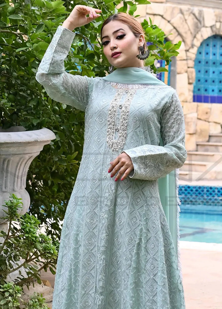 Mona Embroidery Pret Embroidered Chiffon 3 Piece Suit Dusty Affair-Mint-Green