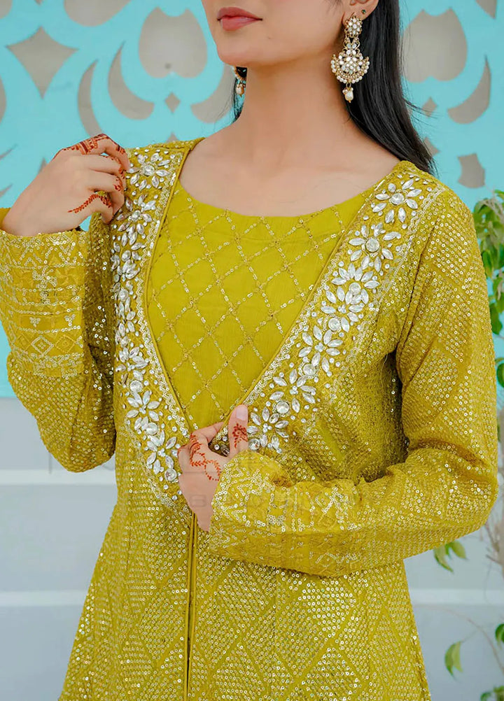 Mona Embroidery Pret Embroidered Chiffon 3 Piece Suit Silhouette Elegance Dhani