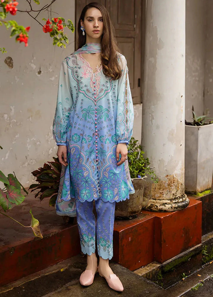 Mushq Embroidered Lawn Suits Unstitched 3 Piece MQ25LD D-4B Ameta - Summer Collection