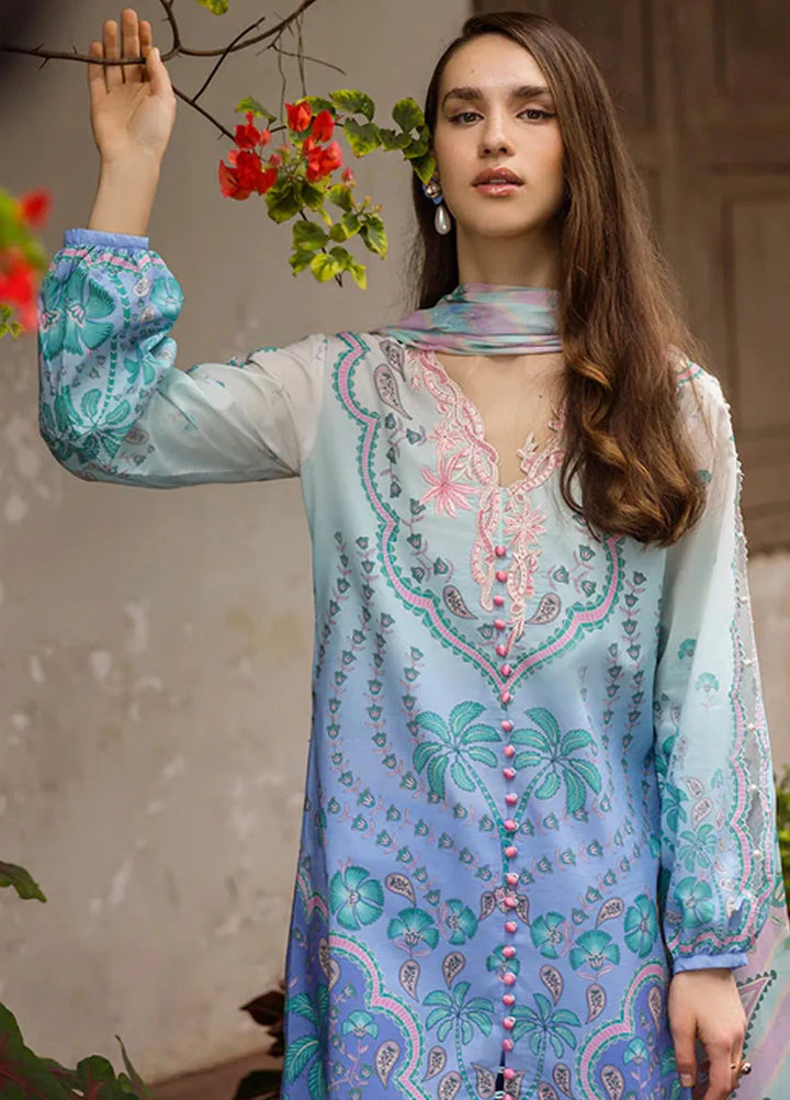 Mushq Embroidered Lawn Suits Unstitched 3 Piece MQ25LD D-4B Ameta - Summer Collection