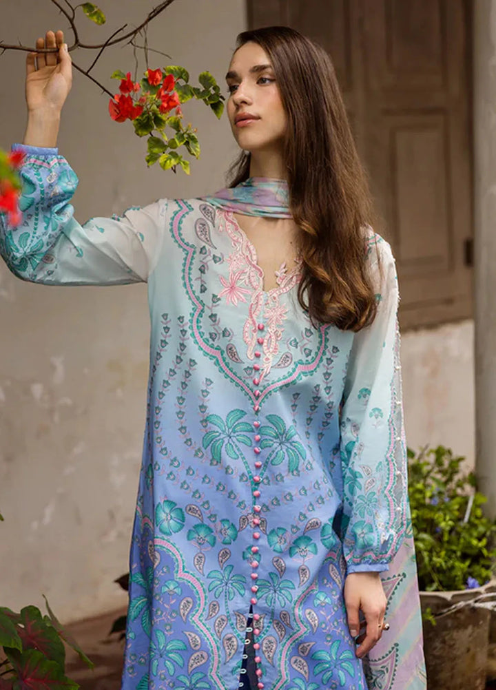 Mushq Embroidered Lawn Suits Unstitched 3 Piece MQ25LD D-4B Ameta - Summer Collection