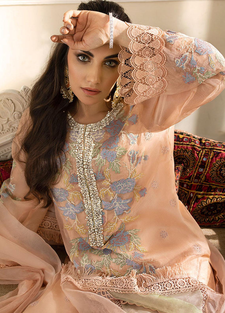 Mushq Embroidered Organza Stitched Kurti PEACH PEONY