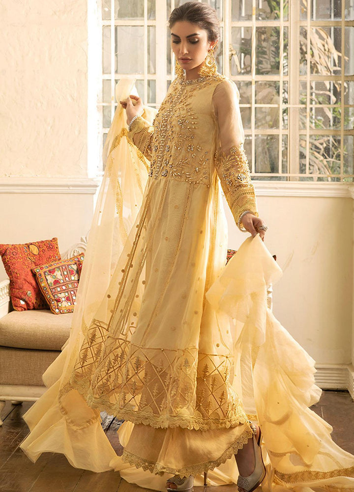 Mushq Embroidered Organza Stitched Kurti SAMOAN SUN