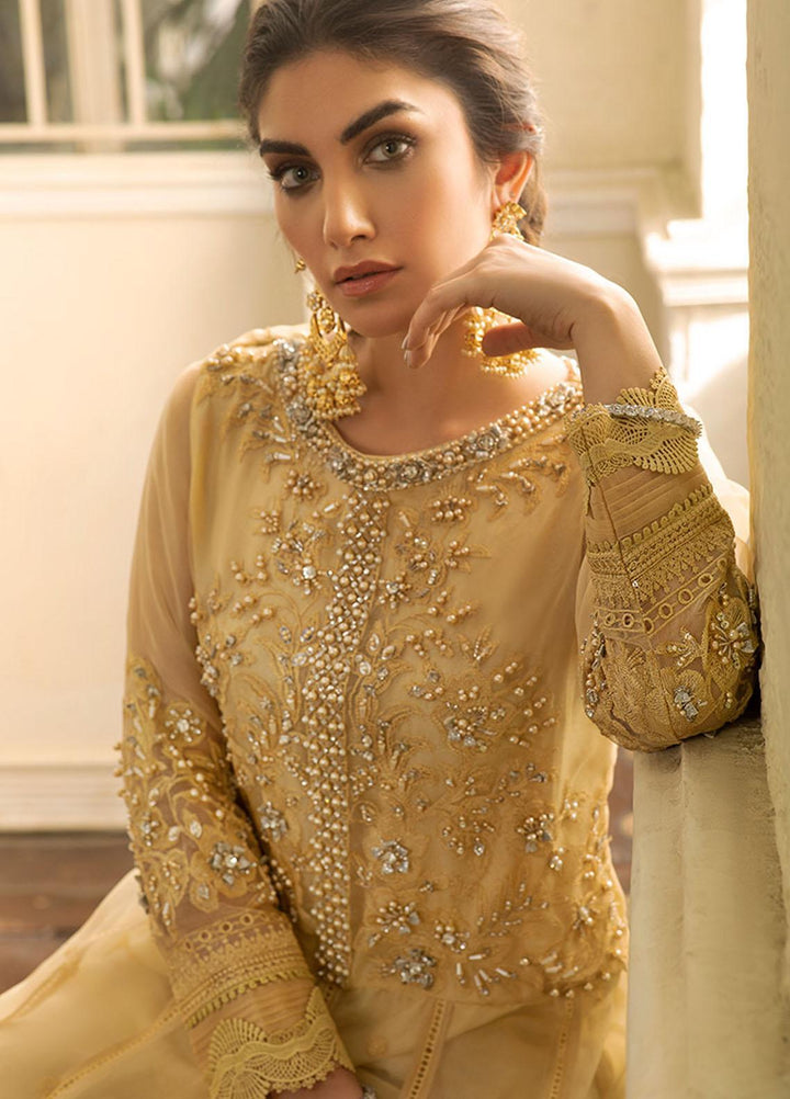 Mushq Embroidered Organza Stitched Kurti SAMOAN SUN