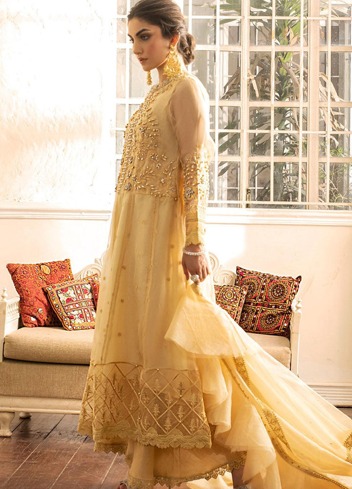 Mushq Embroidered Organza Stitched Kurti SAMOAN SUN