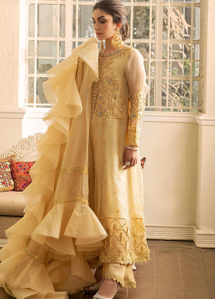 Mushq Embroidered Organza Stitched Kurti SAMOAN SUN