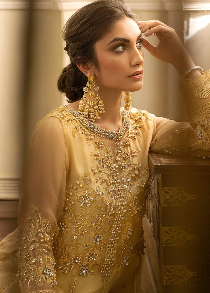 Mushq Embroidered Organza Stitched Kurti SAMOAN SUN