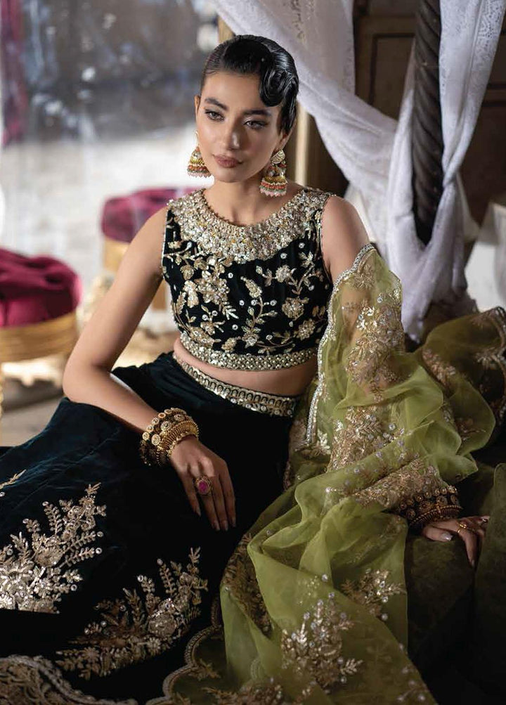 Tehzeeb By Mushq Embroidered Velvet Suits Unstitched 3 Piece MQ21T MV21-03 Aymal - Luxury Collection