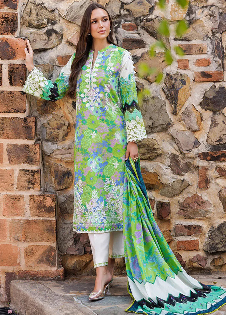 Nissa by Rajbari Embroidered Lawn Suits Unstitched 3 Piece RB25NS D-04 - Summer Collection
