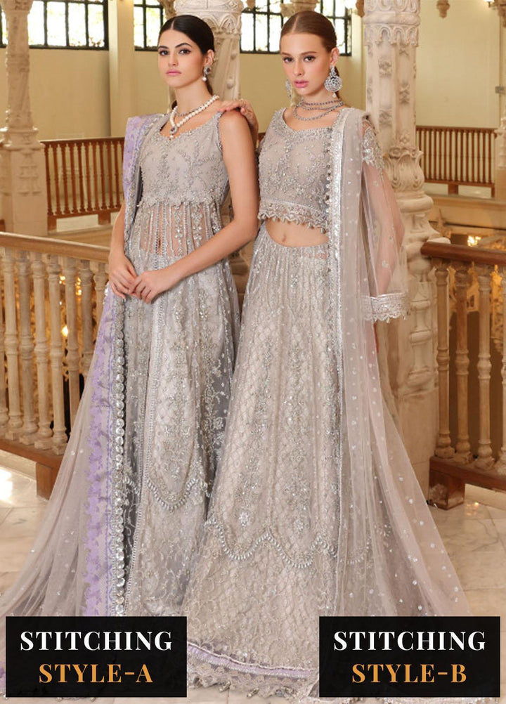 Noor Formals By Saadia Asad Embroidered Net Suits Unstitched 4 Piece NSA23FF D-4 Tara - Festive Collection