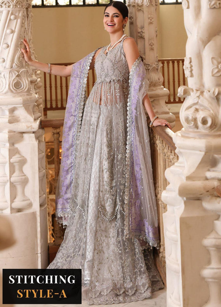 Noor Formals By Saadia Asad Embroidered Net Suits Unstitched 4 Piece NSA23FF D-4 Tara - Festive Collection