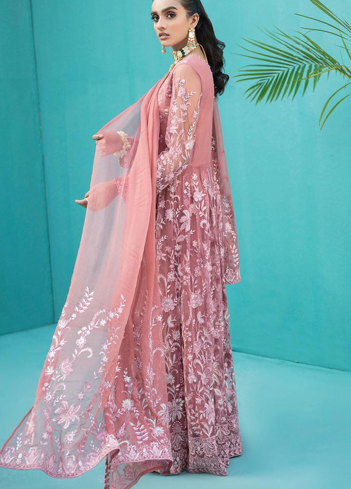 Nureh Pret Formal Net 4 Piece NU21F 106 Tea Rose