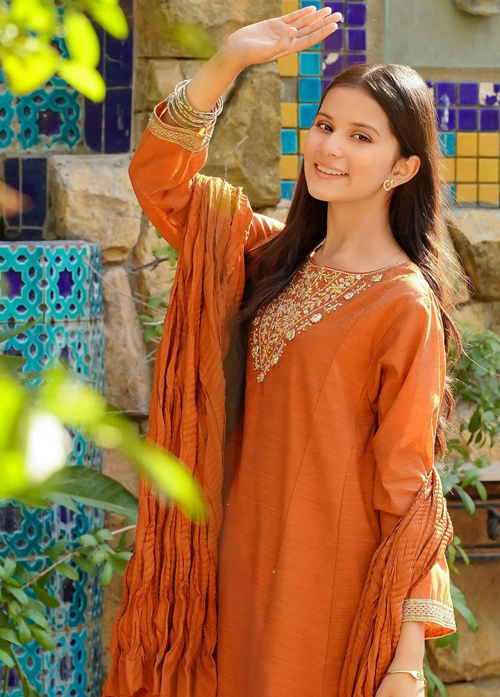 Ochre Pret Embroidered Cotton Co-Ords OFW-MAX-10