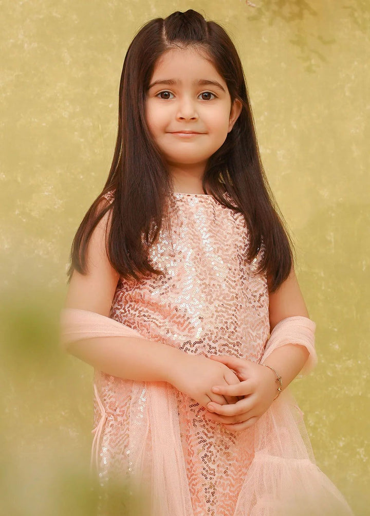 Ochre Pret Embroidered Net 3 Piece Suit INCF-04