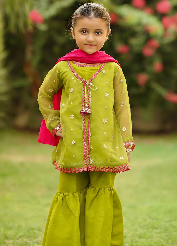 Ochre Pret Embroidered Organza 3 Piece Suit INMHD-05