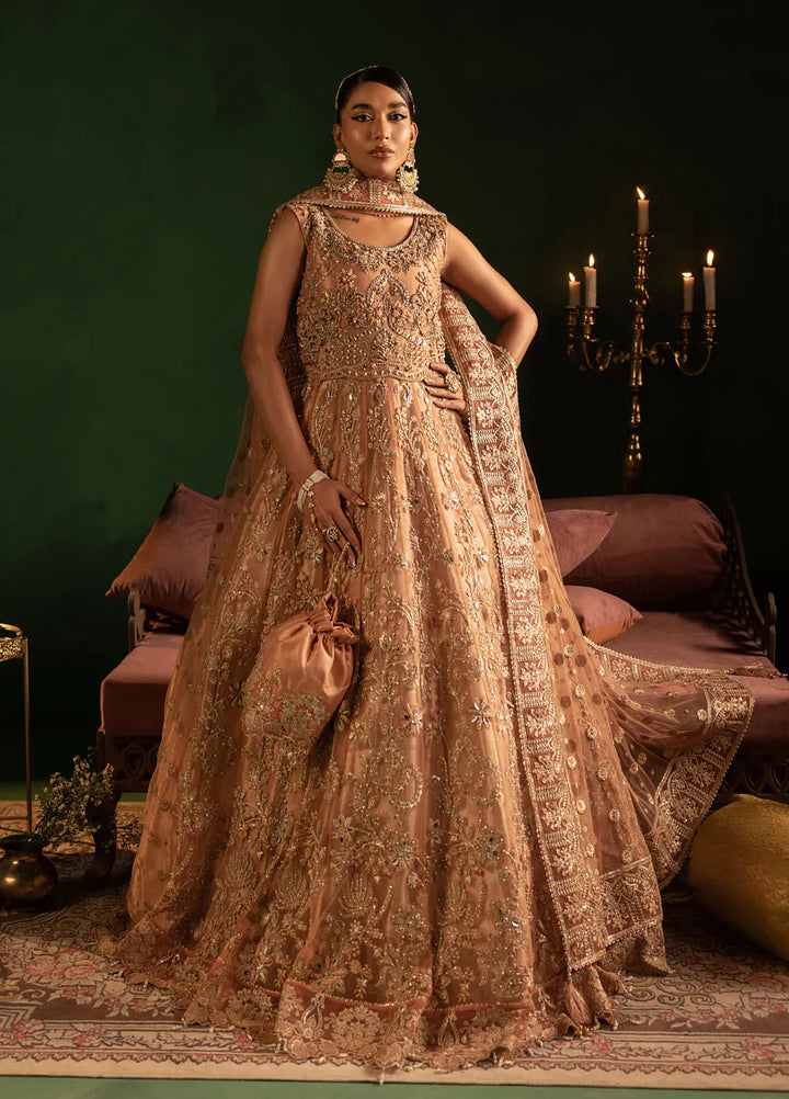 Onora by Diara Couture Embroidered Net Suit Unstitched 4 Piece DC24OW WC-2-06 Ayla - Luxury Collection