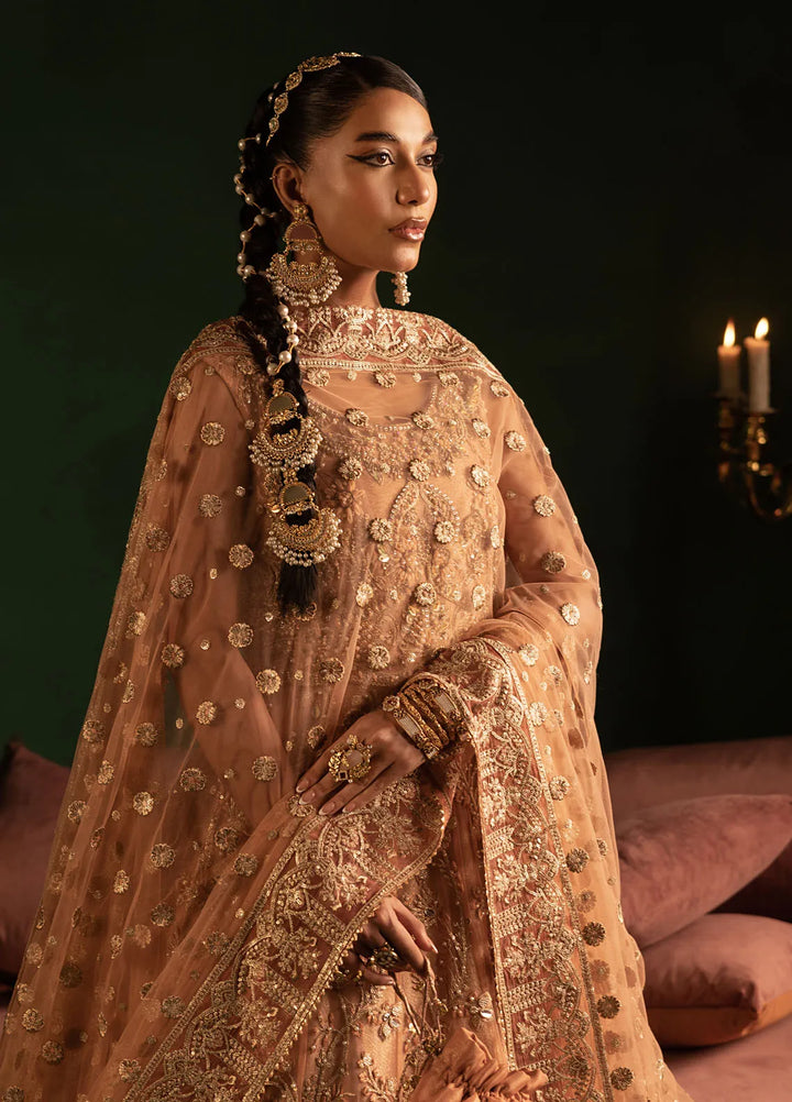 Onora by Diara Couture Embroidered Net Suit Unstitched 4 Piece DC24OW WC-2-06 Ayla - Luxury Collection