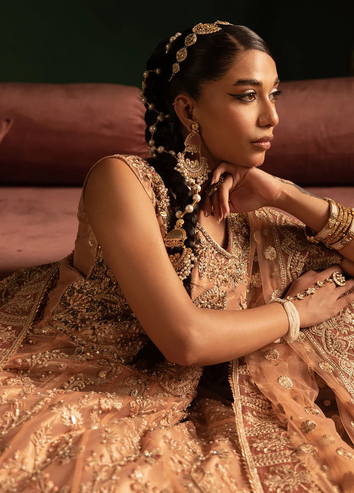 Onora by Diara Couture Embroidered Net Suit Unstitched 4 Piece DC24OW WC-2-06 Ayla - Luxury Collection