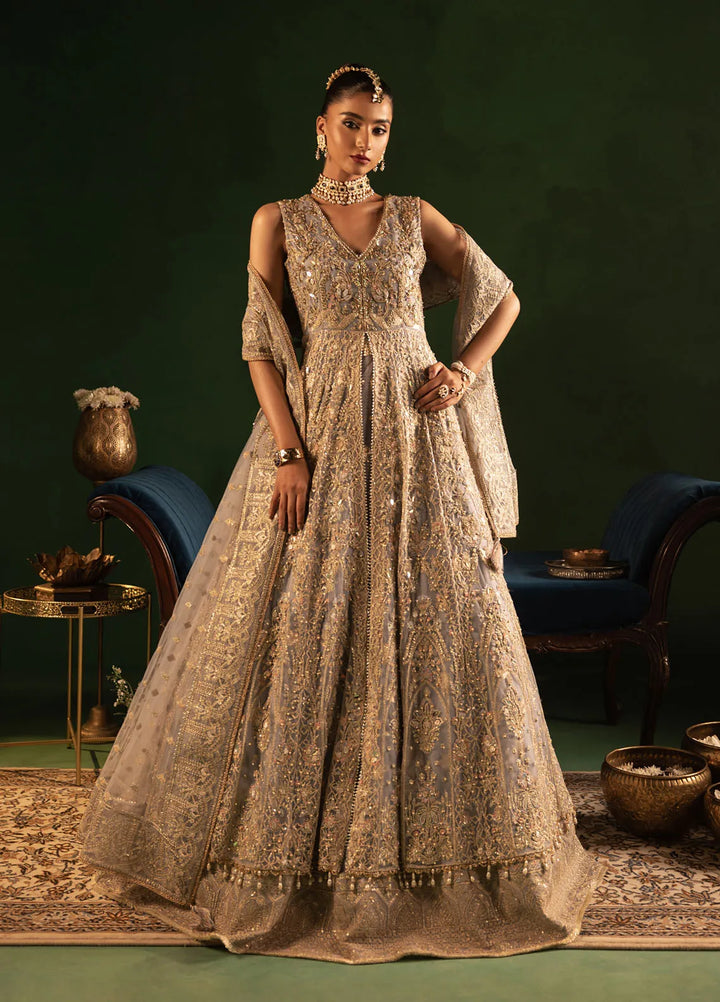 Onora by Diara Couture Embroidered Net Suit Unstitched 4 Piece DC24OW WC-2-09 Sereia - Luxury Collection