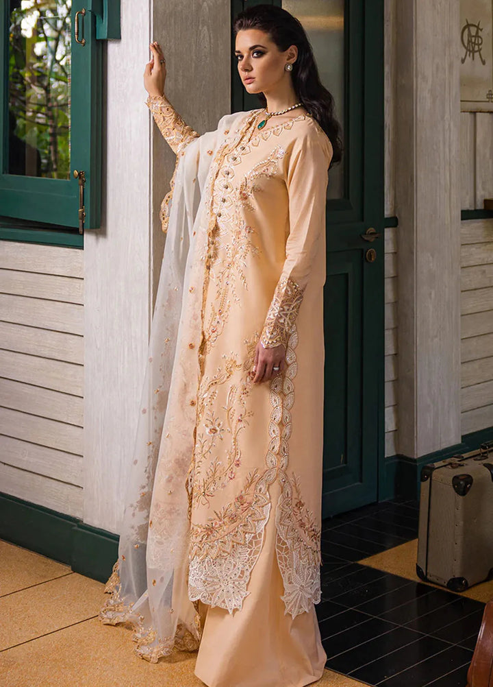 Orient Express By Mushq Embroidered Lawn Suits Unstitched 3 Piece MQ24OE D-10 Odyssey - Luxury Collection