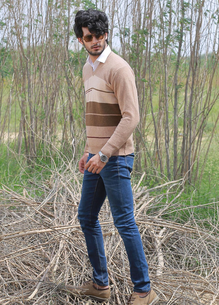 Oxford Woolen Full Sleeves Sweaters for Men -  623 PULLOVER SAVANA