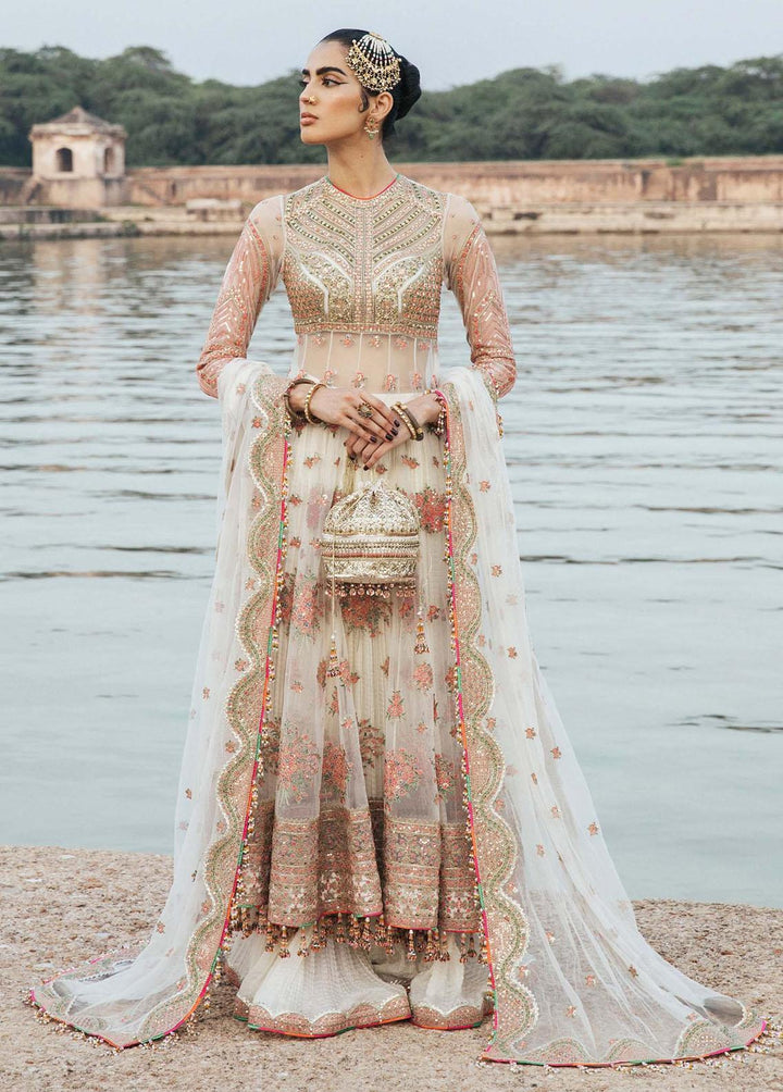 Paar by Hussain Rehar Embroidered Net Suits Unstitched 3 Piece HRR22F Raya - Festive Collection