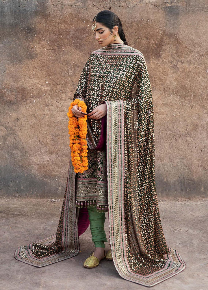 Paar by Hussain Rehar Embroidered Organza Suits Unstitched 3 Piece HRR22F Zeenat - Festive Collection