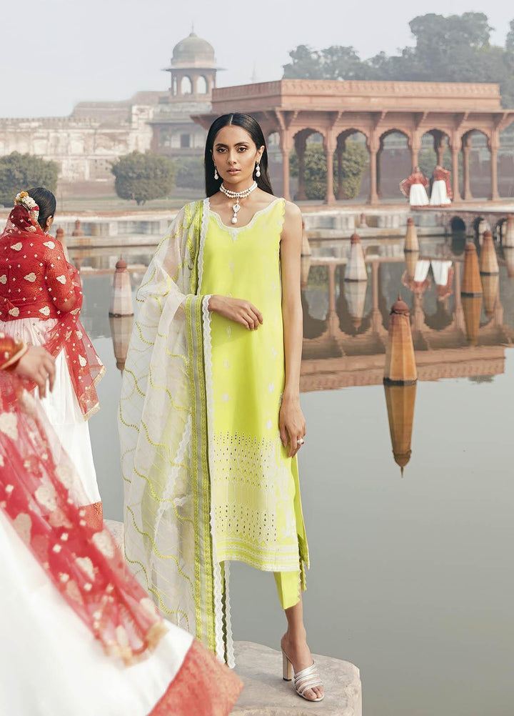 Dastaan By Panache Embroidered Lawn Suits Unstitched 3 Piece PN21D 04 - Luxury Collection