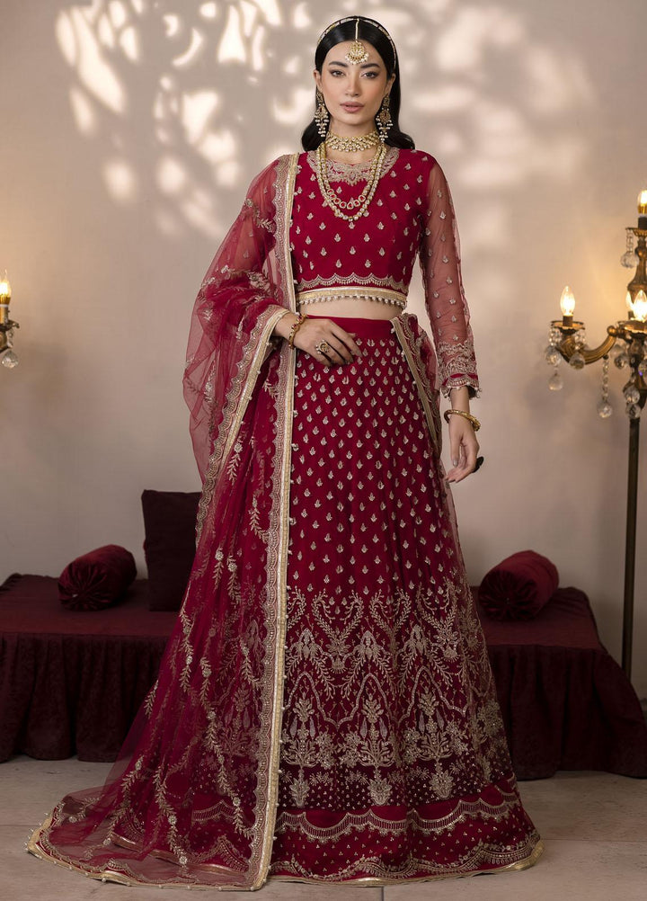 Pari Naaz By Neeshay Embroidered Net Suits Unstitched 4 Piece NSH23PN Rangrezah - Wedding Collection