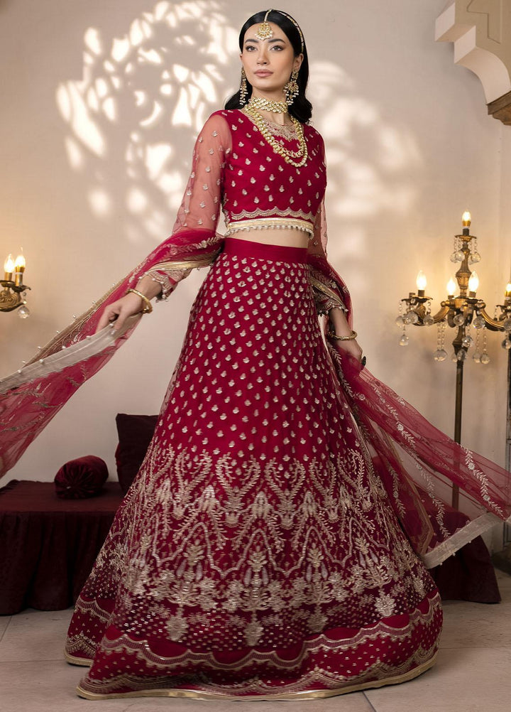 Pari Naaz By Neeshay Embroidered Net Suits Unstitched 4 Piece NSH23PN Rangrezah - Wedding Collection