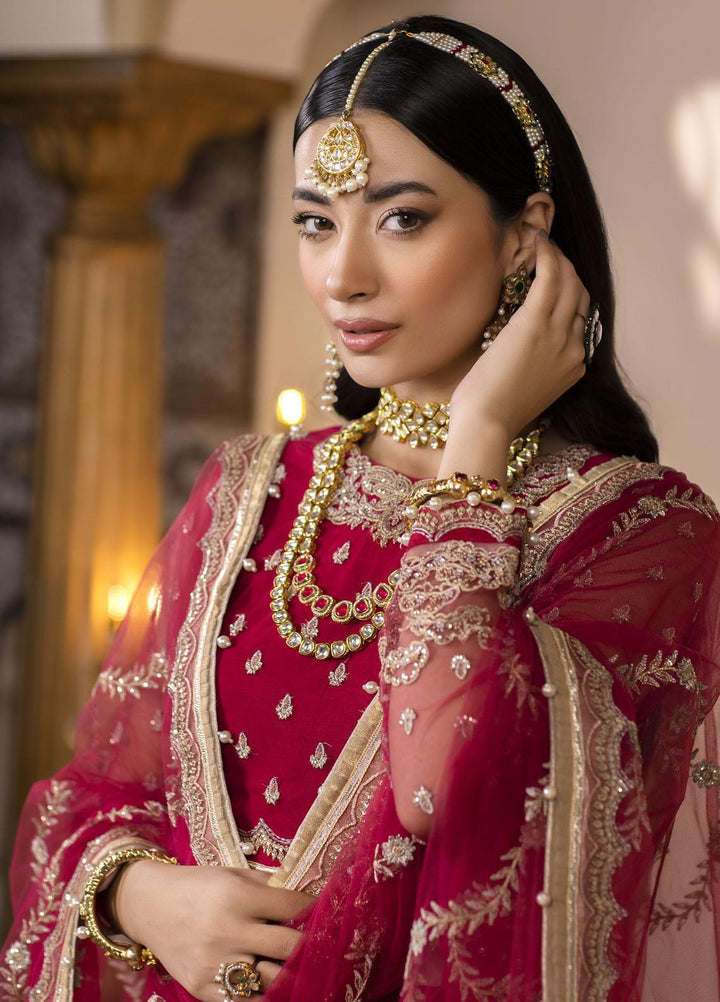 Pari Naaz By Neeshay Embroidered Net Suits Unstitched 4 Piece NSH23PN Rangrezah - Wedding Collection