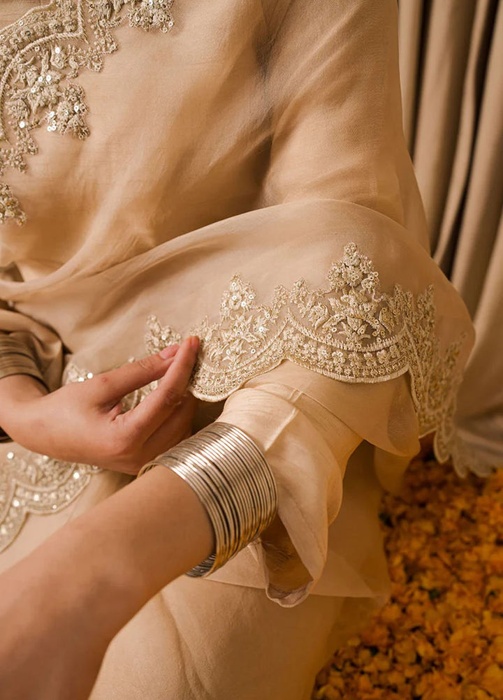 Pashma Khan Embroidered Saree Zarnoor